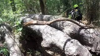 xXx-tReMe eNdUrO cNx tHaILaNd  mAy 2o19