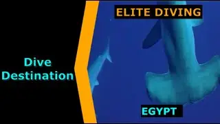 Diving Egypt, Elite Diving, Destination Spotlight for Scuba.Digital The #1 Online Dive Show