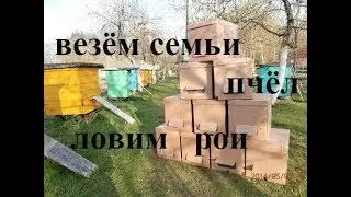 сборка картонного улья на 8 рамок