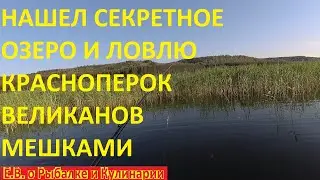 СЛАБОНЕРВНЫМ НЕ СМОТРЕТЬ НАШЕЛ СЕКРЕТНОЕ ОЗЕРО, И ЛОВЛЮ ГИГАНТСКУЮ КРАСНОПЕРКУ НА УДОЧКУ МЕШКАМИ