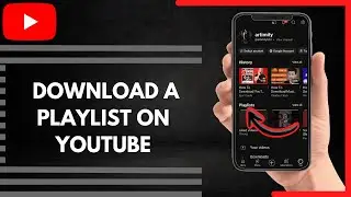 How To Download A Playlist on YouTube