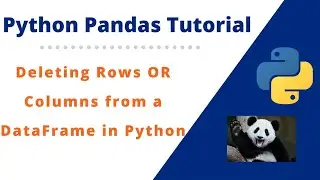 #7 How to delete Rows or Columns from a Python Pandas DataFrame | Python Pandas Tutorial