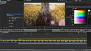 Final Cut Pro X Artifacts Effect