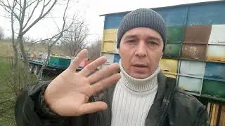 7.12.2023 г  Похолодало, пчёлы в клубе