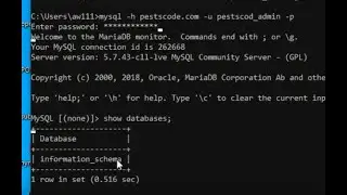 Remote database connection MySQL