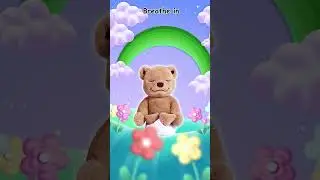 Relax with Rainbows and Meddy Teddy 