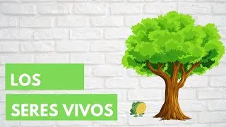LOS SERES VIVOS 🌳🐣 Características en común - Resumen para niños