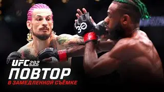 UFC 292: В замедленной съемке