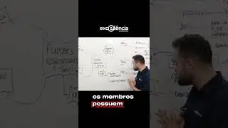 🛡️ Funções Essenciais à Justiça: Ministério Público ⚖️