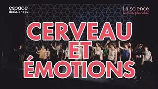 Cerveau et émotions