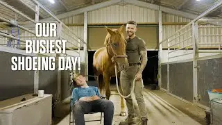 Our Busiest shoeing day EVER! Day in the life of a Farrier in Yorkshire