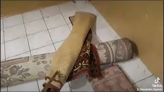 #Ковер