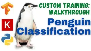 24: Penguin classifier | TensorFlow | Tutorial