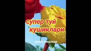 келинглар раксга тушамиз