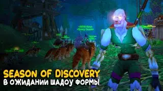 WoW Classic - Говорят на Season of Discovery прист лучший хил!