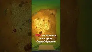 Бесплатная образовательная платформа для продавцов Ozon