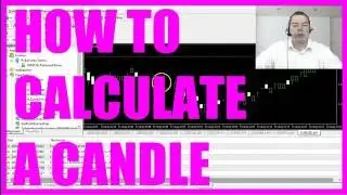 MQL4 Tutorial Basics   How to calculate a bullish or a bearish candle in Metatrader4