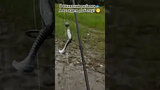 А вы ждете выходные? 🐟😁 