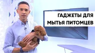 Проверяю гаджеты для МЫТЬЯ ПИТОМЦЕВ