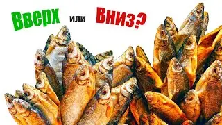 Почему рыбу лучше всего сушить именно головой вниз?