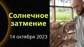 Солнечное затмение 14 октября 2023