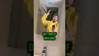 day 5 of watching breaking bad