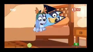 Bluey | Socks Bite Bluey [Filipino Dub](Verandah Santa)
