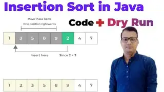 Insertion Sort in Java | ISC XI and XII