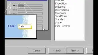 Microsoft Office Access 2000 Creating a New database within Access