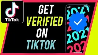 How to Get Verified on TikTok