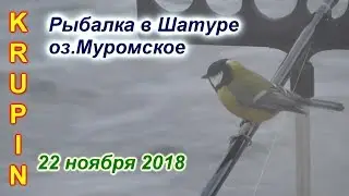 Рыбалка в межсезонье в Шатуре. Когда не клюёт. 22 ноября 2018.