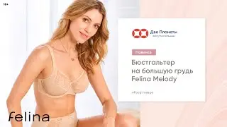 Бюстгальтер Фелина Melody с широкими бретелями, большие размеры чашки до F, G – купить