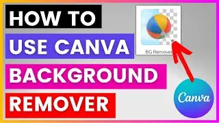 How To Use Canva Background Remover For Free? [in 2024]