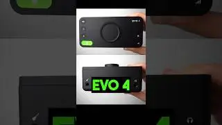 EVO4: The PERFECT Audio Interface For Beginners!