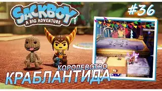 Sackboy | Королевство Краблантида | Блеск и тени #36 (ВДВОЁМ)