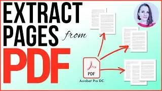 Extract & Organize Pages in PDF