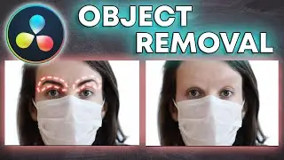 Object Removal In Davinci Resolve 19 FREE Version Tutorial