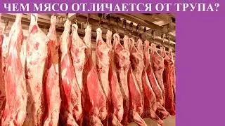 ЧЕМ МЯСО ОТЛИЧАЕТСЯ ОТ ТРУПА?