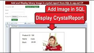 How to add binary image and display in crystal report dynamically in c# asp.net