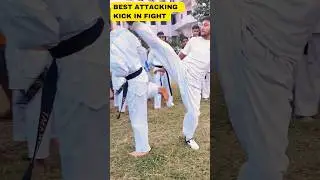 knockout kick 
