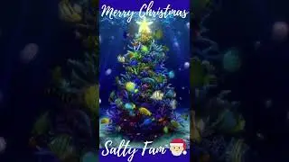 Merry Christmas Salty Fam 🎅🏼 🤙🏽