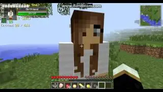 Видео Minecraft c модами