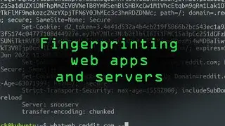 Fingerprint Web Apps & Servers for Better Recon [Tutorial]