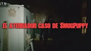 El aterrador caso de Smug Puppy