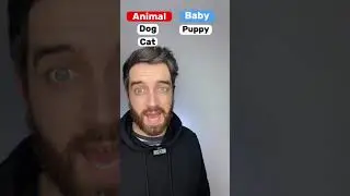 Animals and their baby names in ENGLISH 🐯🐥👶🇬🇧