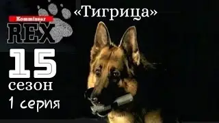 Комиссар Рекс, 15 сезон, 1 серия «Тигрица»