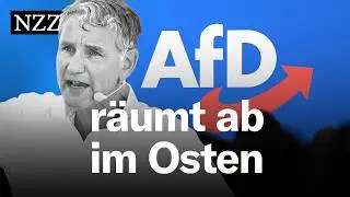 Landtagswahlen 2024: Warum die AfD und das BSW die grossen Gewinner sind im Osten