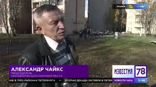 Петербуржцы начали восстанавливать голубятню, варварски уничтоженную вместе с птицами   Статьи   78