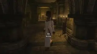 Skyrim SE: EVERYTHING IS GOING FINE!