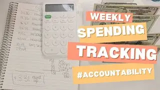 Weekly Spending Tracking | Where Did Our Money Go? | Cash Envelopes